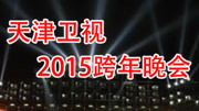 天津卫视2015跨年晚会
