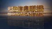 经济信息联播2014