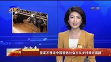 [图]坚定不移走中国特色社会主义乡村振兴道路