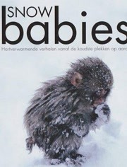 BBC：冰上动物宝宝