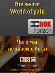 BBC：疼痛的神秘世界