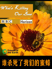 BBC：谁杀死了我们的蜜蜂