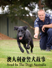 澳大利亚警犬故事