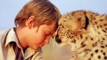小男孩横穿整个南非，只为送猎豹回归野外，最后分别那刻十分感人