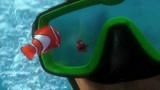 海底总动员（片段）小丑鱼尼莫被人类捕获