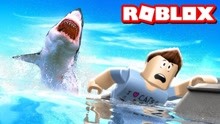 Roblox大白鲨模拟器！