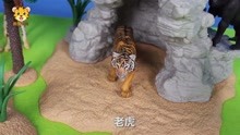 豹宝认识动物 认识老虎蛇2个小动物
