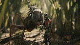 漫威第20部电影巨作，蚁人2已上映，大银幕小英雄再度回归！