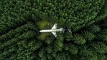 马航MH370新发现，英国专家发现马航坠落在东南亚的森林中