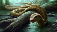 5800万年前就已灭绝的巨蟒，竟能轻松吃掉史前巨鳄！