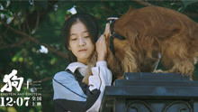 曹保平导演《狗十三》发布“真香”警告，被禁五年的国产青春片！