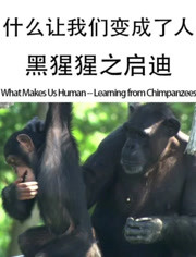 什么让我们变成了人：黑猩猩之启迪