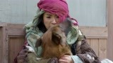 《小女花不弃》神犬阿黄机智过人 带林依晨钻狗洞躲避追杀