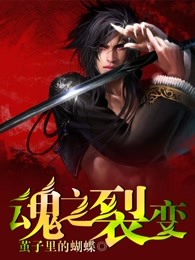 魂之裂变