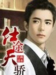 仕途天骄