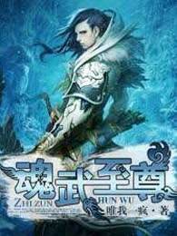 魂武至尊