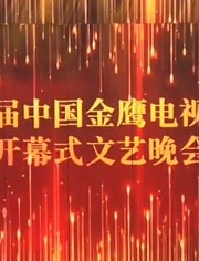 第十一届中国金鹰电视艺术节开幕式