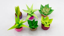 多肉植物盆栽的折纸方法