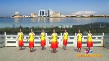 幸福中国一起走金花王江舞蹈队正背表演团队版