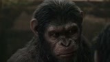 猩球崛起2：猩猩成精了！不仅会说英语，居然还会打机枪。