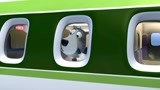 倒霉熊坐飞机 熊熊偷吃其他乘客的食物也太过分了吧