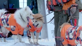 Watch the latest Hero Dog (Season 3) Episode 20 online with English subtitle for free English Subtitle