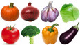 认识蔬菜种类