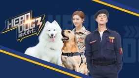 Watch the latest Hero Dog (Season 3) Episode 23 online with English subtitle for free English Subtitle