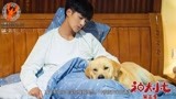 《神犬小七3》姜潮宋妍霏“秋千吻”，帮助小七适应新环境！