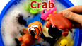学习认识海洋里的红色螃蟹玩具