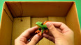 带你认识两栖的绿色青蛙玩具模型