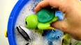 带你认识生活在海洋的绿色海龟玩具