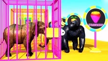黑猩猩喂大象鳄鱼吃水果