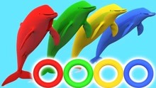 彩色的海豚玩跳圈游戏