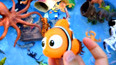教你认识和海葵共生的小丑鱼玩具