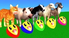 猫奶牛猪羊等吹气球变色