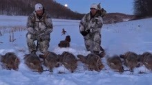 老外凌晨三点狩猎，用热成像击杀45只野狼，全程跟拍