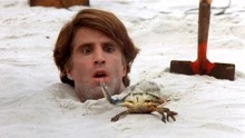 男子被埋在沙滩上，只露出一个头，连螃蟹都来欺负他