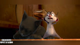 新灰姑娘：胖老鼠上柜子，在上边跳舞，小老鼠掉在了猫身上