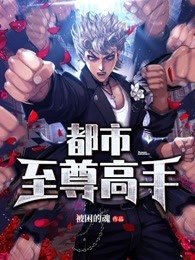 都市至尊高手