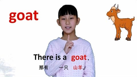 动物篇goat山羊 牛津初高中小学少儿童英语单词和例句子 常荣