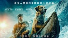 線上看 極地守護犬 (2020) 帶字幕 中文配音，國語版