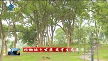 韶关:全域国家森林城市格局初步成型