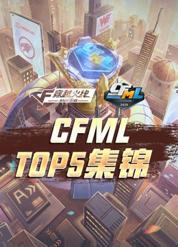 CFML-TOP5集锦