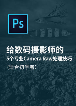 给数码摄影师的5个专业camera raw处理技巧