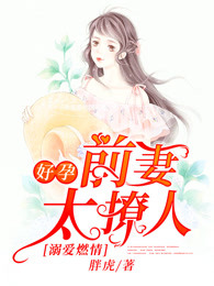 溺爱燃情：好孕前妻太撩人