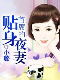 首席的贴身夜妻