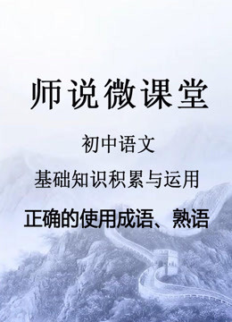 初中语文 基础知识积累与应用之九 正确使用成语 熟语 教育 高清正版视频在线观看 爱奇艺