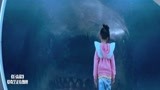 巨齿鲨：小女孩在深水管道玩耍，不料巨齿鲨靠近，一口吞掉鲸鱼！