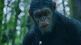 猩球崛起2：猩猩竟口吐人言，猿王一声滚，吓得人类探险队腿软了